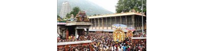 236. திருவண்ணாமலை